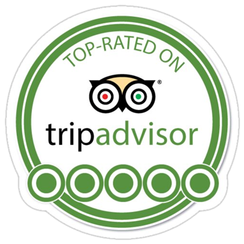 top rated in tripadvisor
